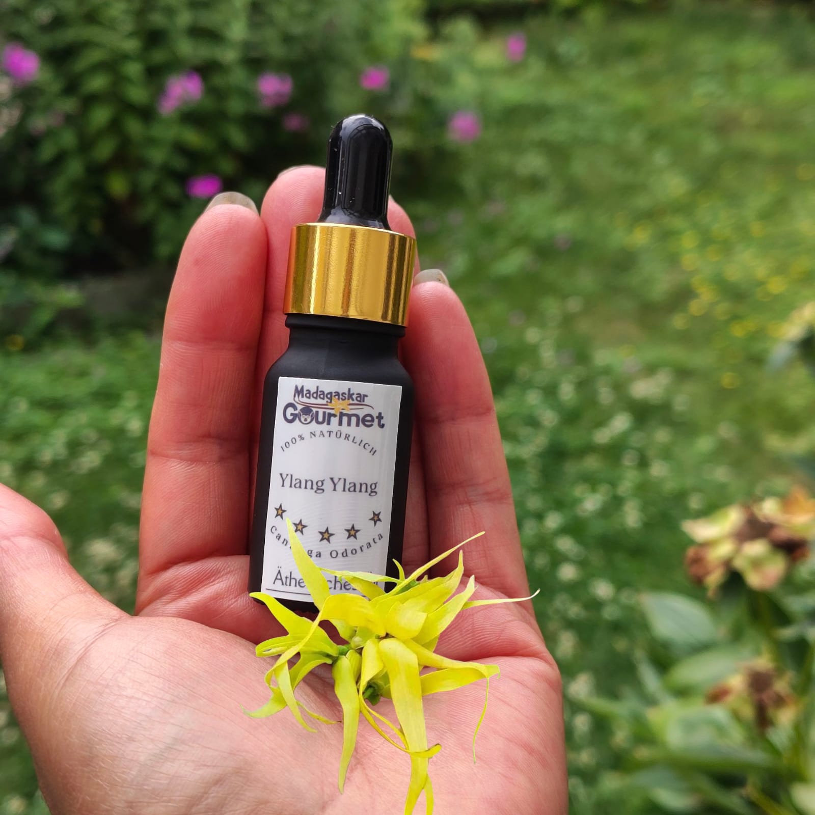 Mehr über den Artikel erfahren Die Schatzinsel der Aromen